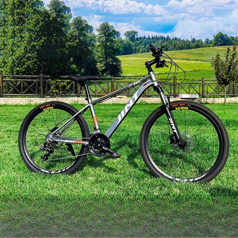 Wholesale Aluminum Alloy 26 In - огляд і ціна Commuter Biking